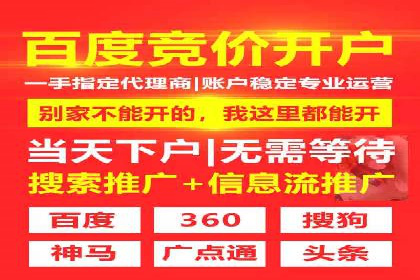 谷歌竞价广告的创意执行与效果评估——某品牌案例